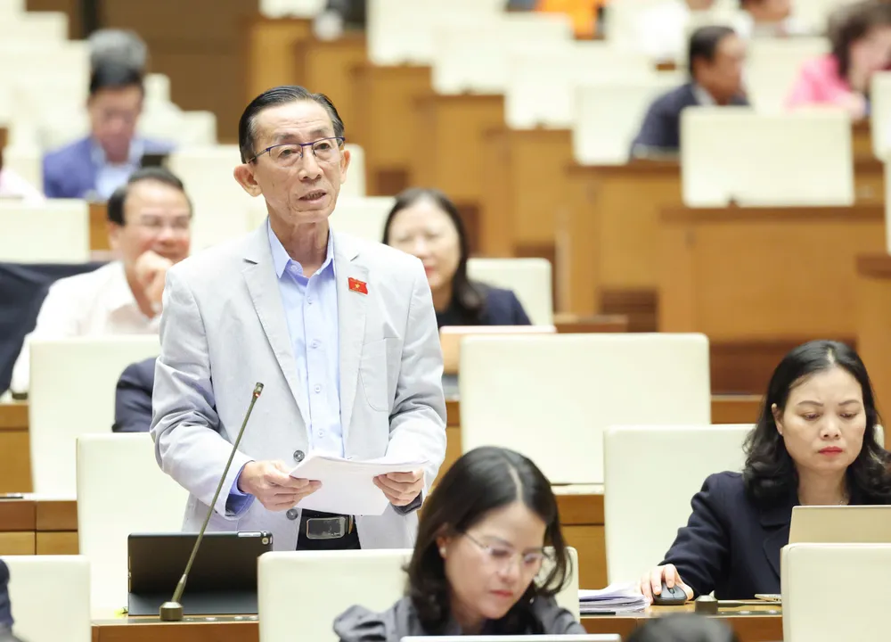 Đại biểu Trần Hoàng Ngân (TPHCM).jpg