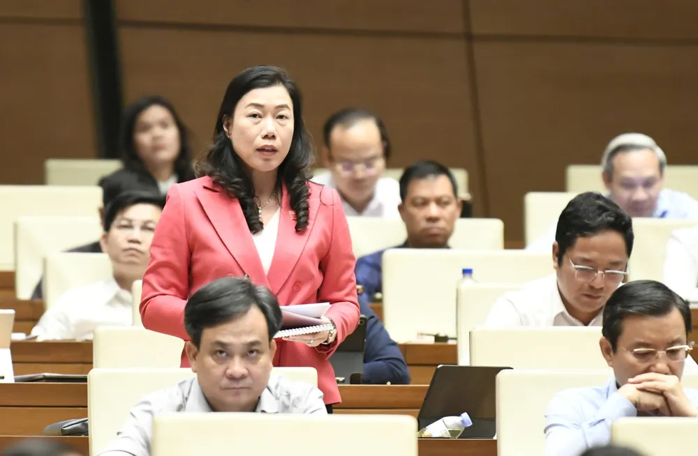 ĐB Triệu Lệ Khánh (TPHCM.jpg