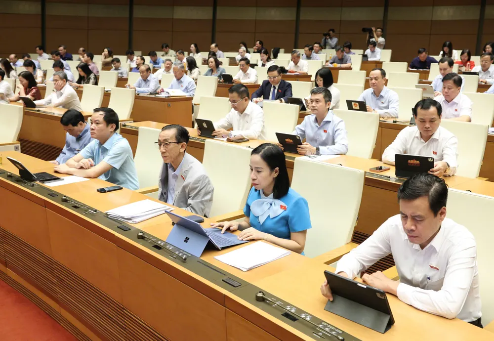 ĐBQH dự phiên họp sáng 6-8, 1.jpg