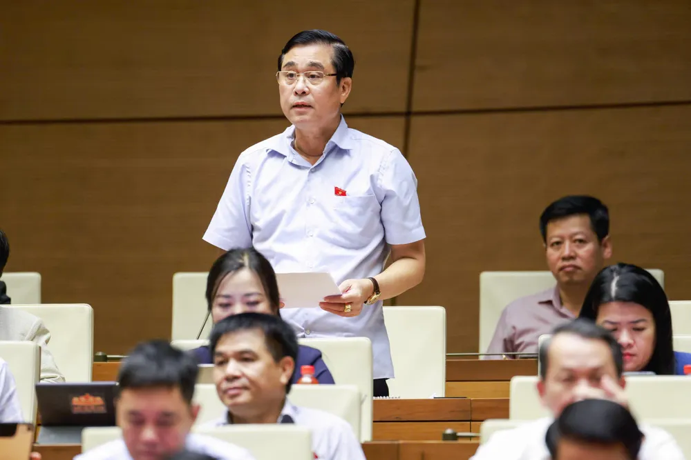 Nguyễn Cao Sơn.jpg