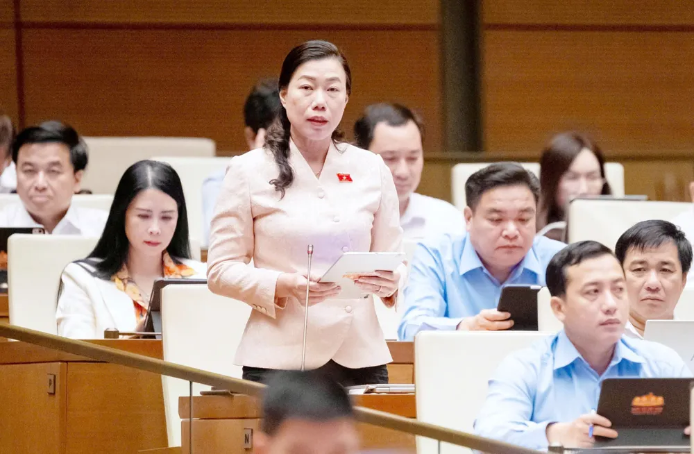 Đại biểu Triệu Lệ Khánh (TPHCM).jpg