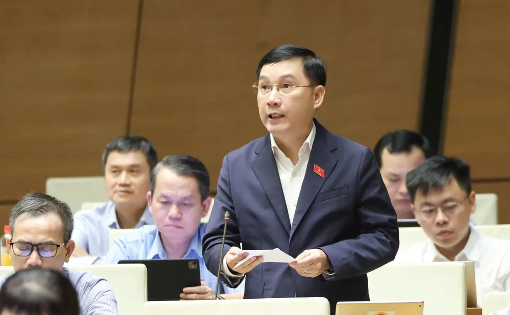 Đại biểu Lê Hoàng Anh (Gia Lai).jpg