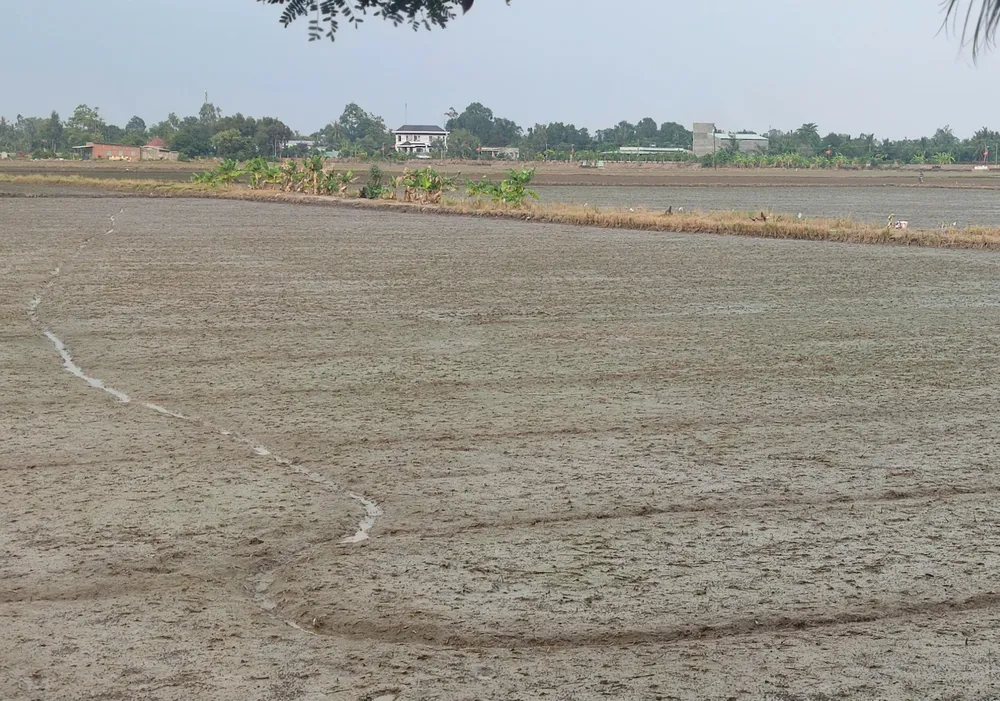 dieu chinh dat dai.jpg