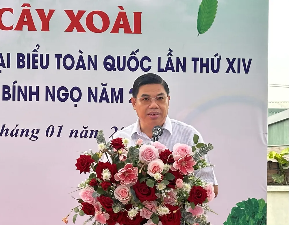 cay xoai-h1.jpeg