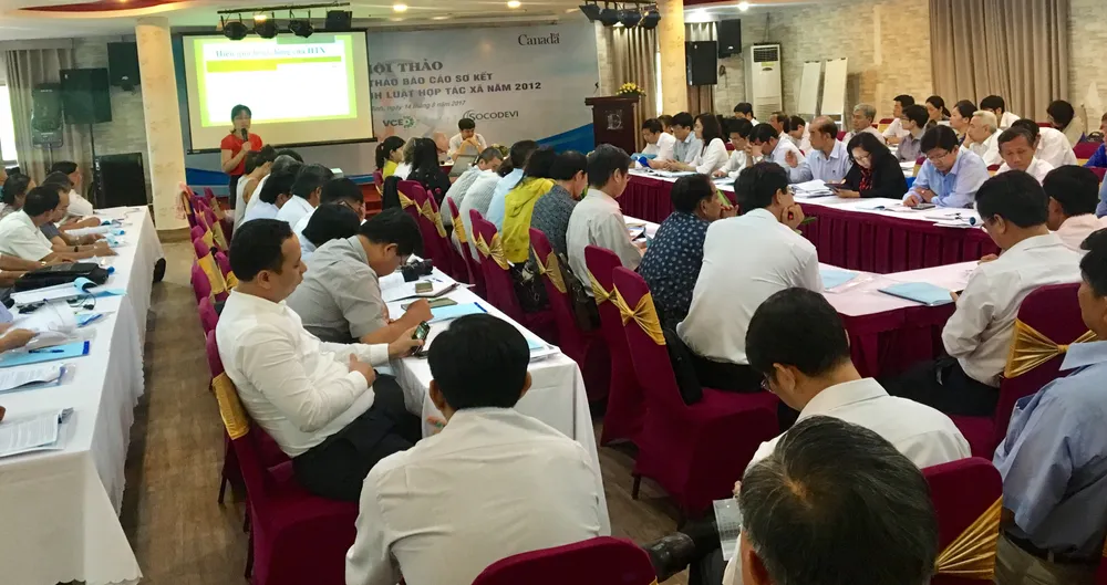 Sau 3 năm, nước ta có trên 5.600 HTX được thành lập ảnh 1