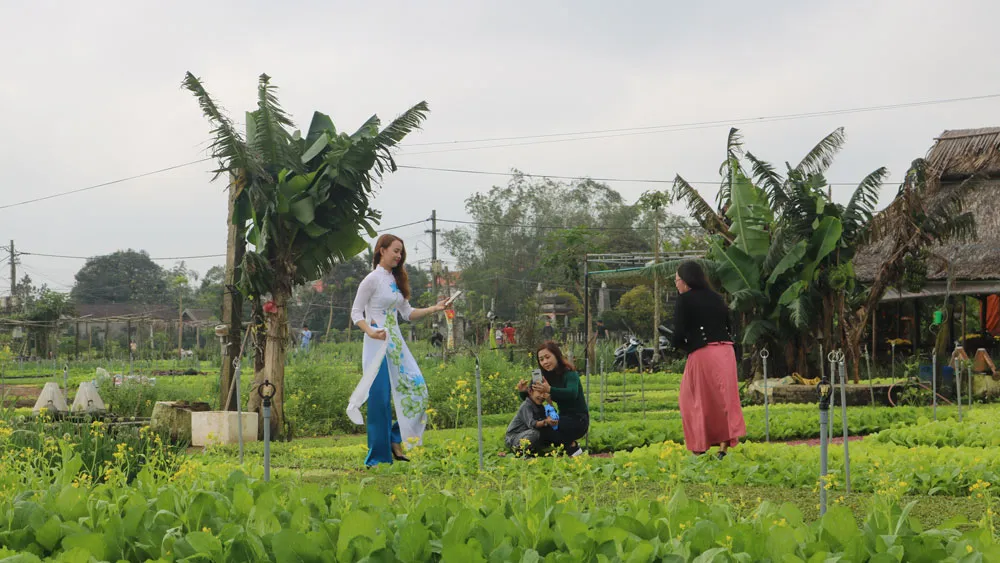 Thúc đẩy kinh tế du lịch liên vùng miền Trung ảnh 1