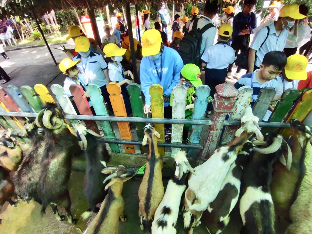 TPHCM tổ chức gần 5.000 suất “Du lịch - Chắp cánh ước mơ” miễn phí ảnh 5