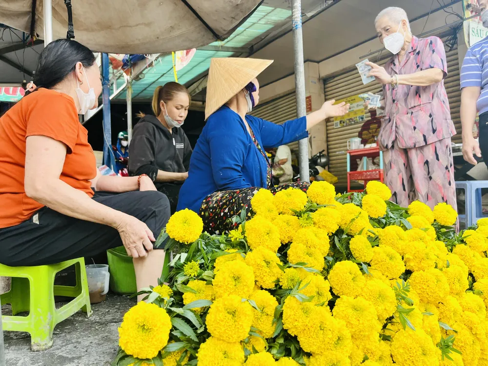 Khách mua hoa vạn thọ tại chợ Nguyễn Văn Trỗi, quận Phú Nhuận trưa 13-1. Ảnh: THI HỒNG Khách mua hoa vạn thọ tại chợ Nguyễn Văn Trỗi, quận Phú Nhuận trưa 13-1. Ảnh: THI HỒNG