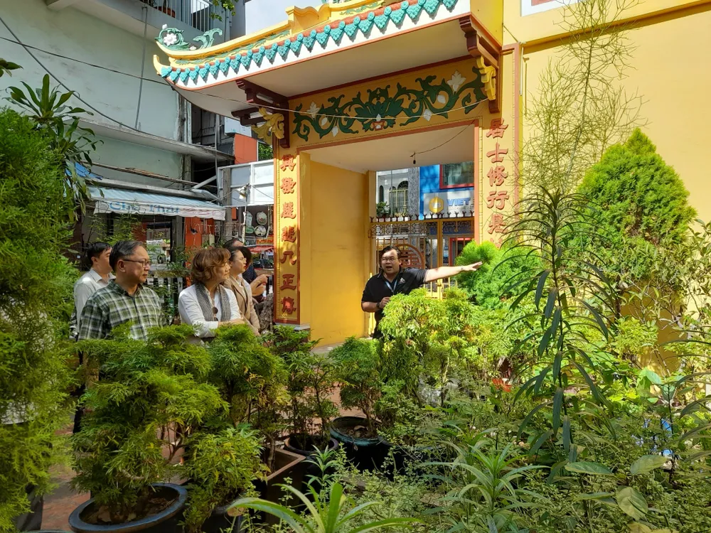 Khách tìm hiểu về các loại cây thuốc được trồng tại khu vườn dược liệu ở Tân Hưng Long Tự, quận 10, TPHCM - một tour du lịch y tế do Lữ hành Chim Cánh Cụt thực hiện