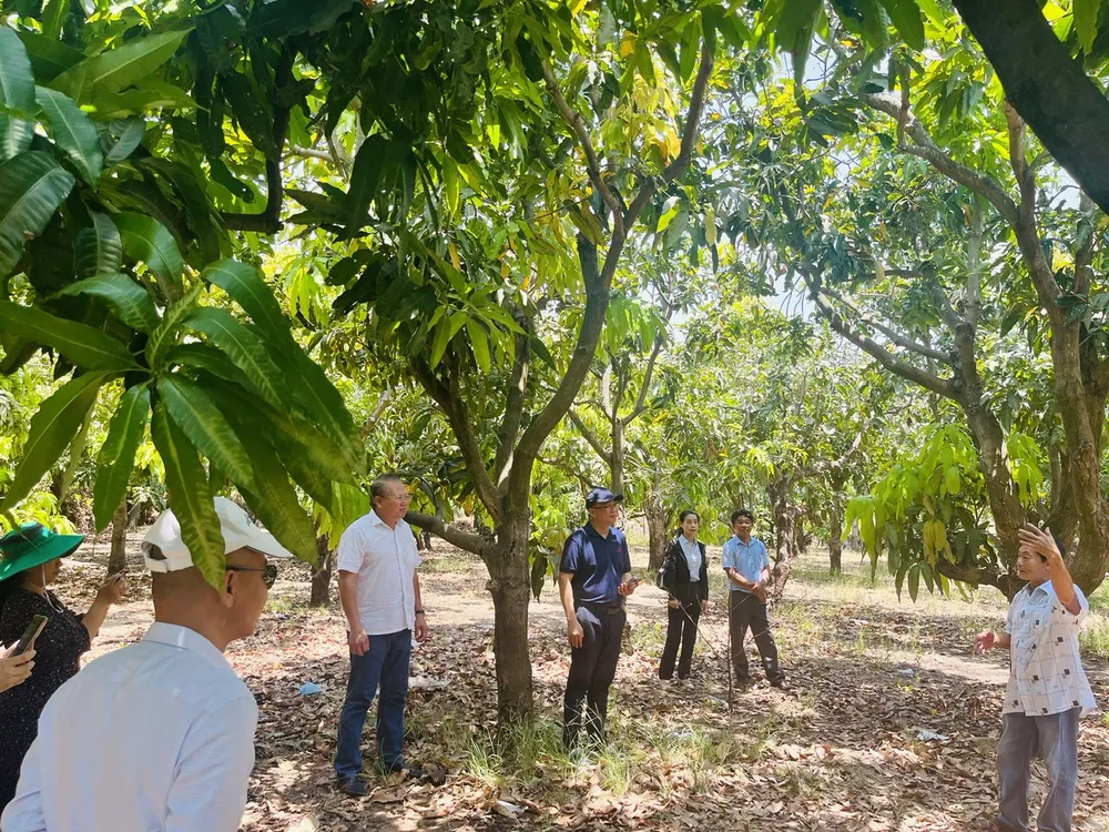 Đoàn khảo sát....jpg