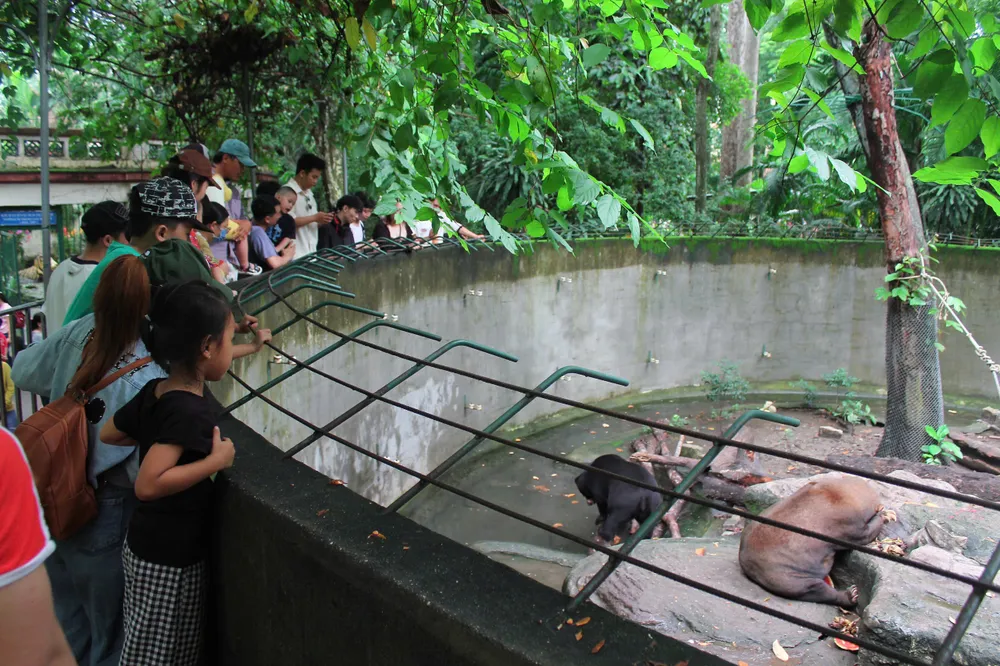 Khách chơi vui tại TCVien.jpg