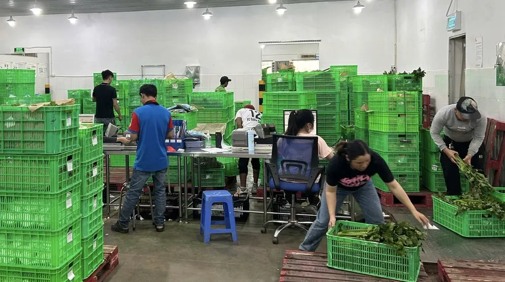 Nhân viên kiểm hóa của MM Mega Market làm việc tất bật tại kho hàng ở Lâm Đồng.jpg