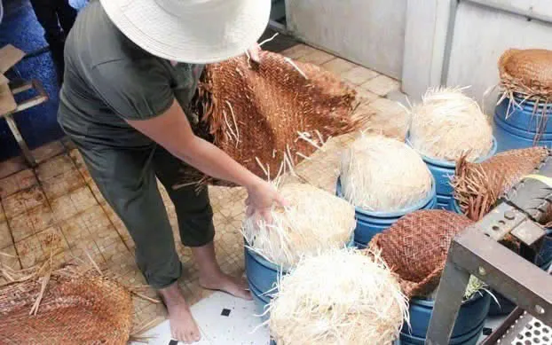 Lô hàng giá đỗ ngậm hóa chất bị cơ quan chức năng Đắk Lắk phát hiện