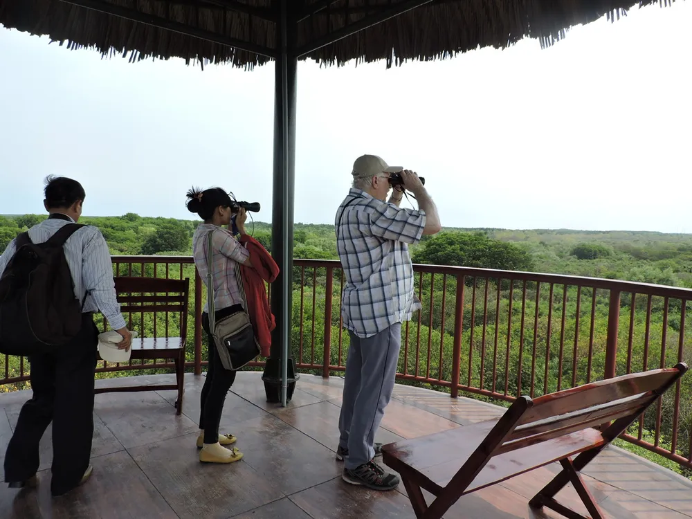 Khách quốc tế ngắm chim về tổ.jpg