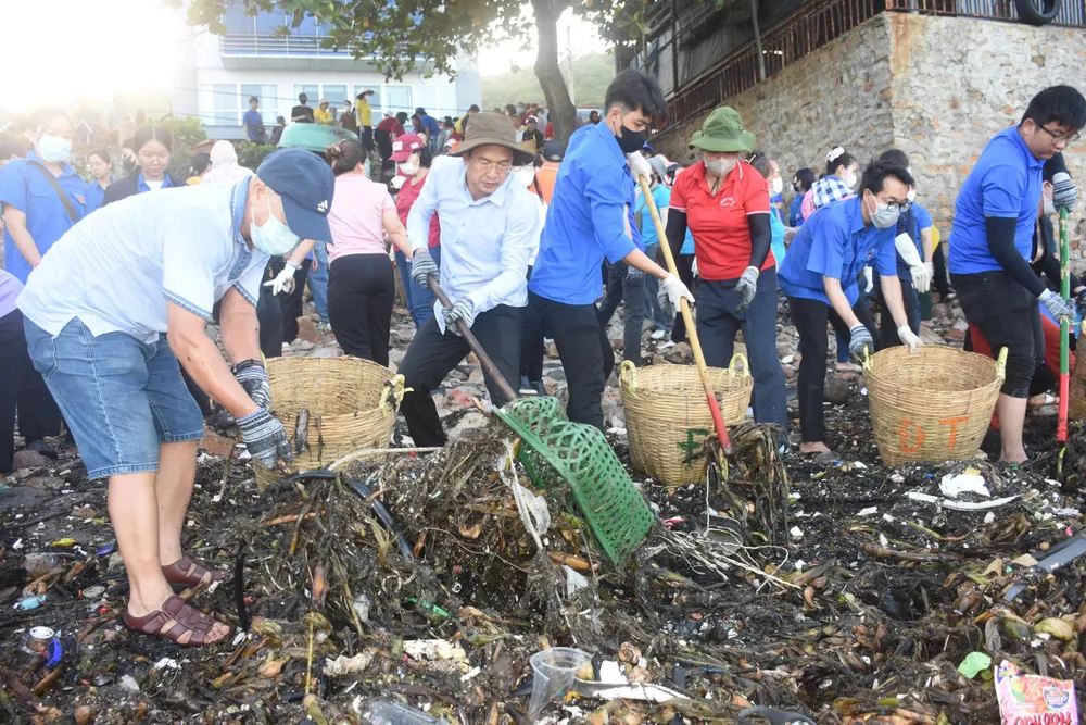 Bí thư Đảng ủy phường Vũng Tàu cùng người dân trực tiếp tham gia thu gom rác đại dương