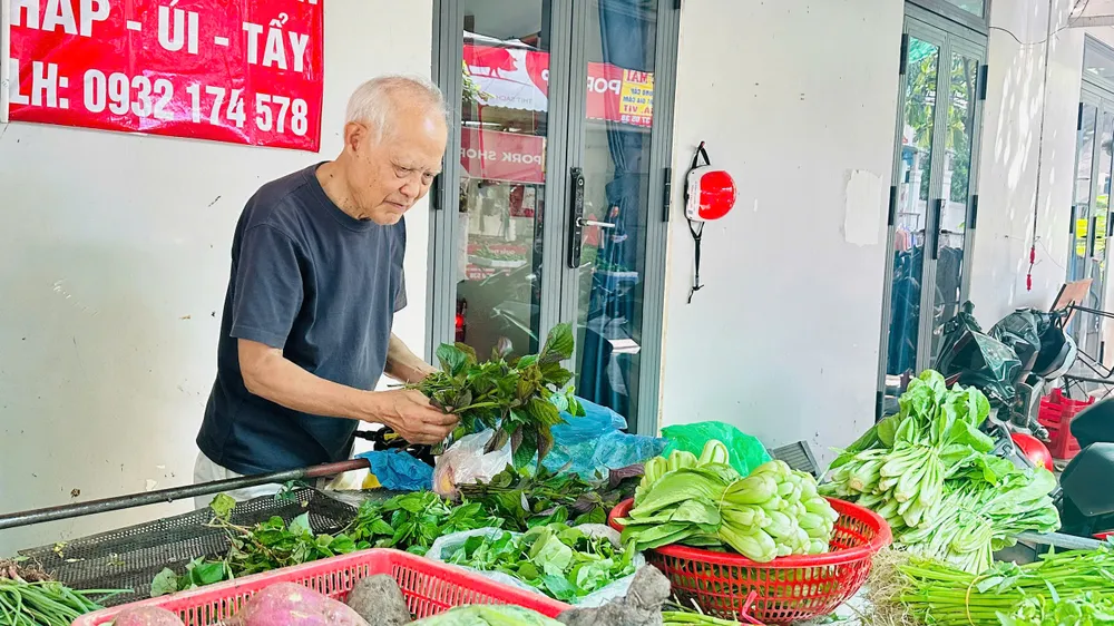 Giá rau ăn lá tăng mạnh