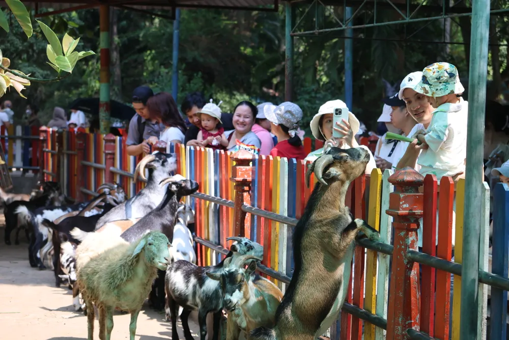 Khach tai Thao cam vien SG.jpg