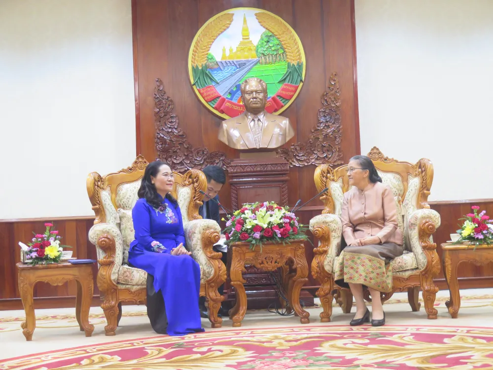 Đề nghị HĐND TPHCM giúp Lào cách thu ngân sách trong lĩnh vực bất động sản ảnh 1