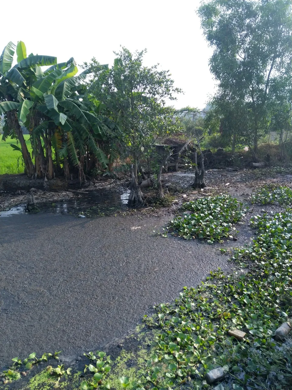 Kiểm tra một công ty về dấu hiệu xả thải gây ô nhiễm kênh rạch ảnh 2