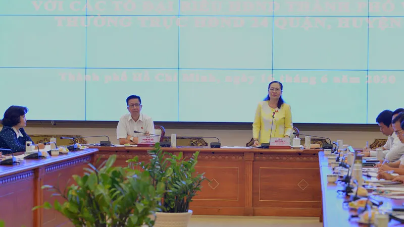 HĐND TPHCM giám sát việc thực hiện Khu đô thị mới Thủ Thiêm ảnh 2