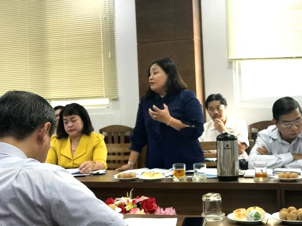 Thường trực HĐND TPHCM bắt đầu đợt giám sát thực hiện chủ đề năm 2020 ảnh 3