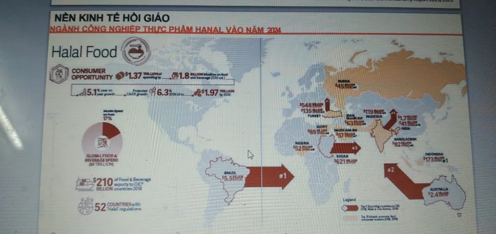 Kiều bào tìm hướng xuất khẩu nông sản và trang thiết bị y tế trong mùa dịch Covid-19 ảnh 2