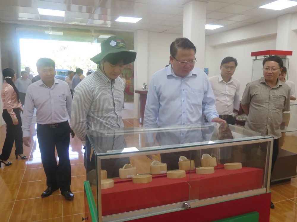 Kiểm tra thực tế để công nhận huyện Cần Giờ đạt chuẩn huyện Nông thôn mới ảnh 2