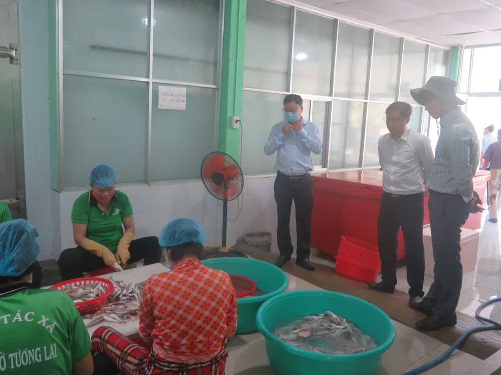 Kiểm tra thực tế để công nhận huyện Cần Giờ đạt chuẩn huyện Nông thôn mới ảnh 3