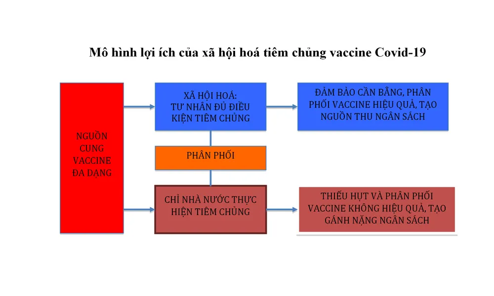 Có thể lựa chọn “sống chung” với dịch Covid-19? ảnh 6