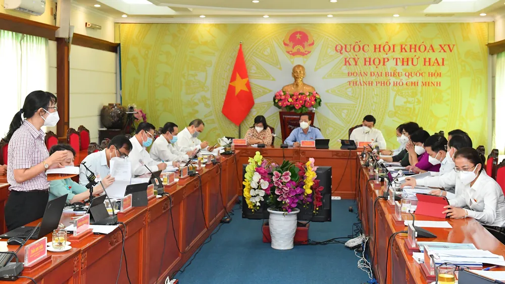 Đại biểu Phạm Khánh Phong Lan: Giờ vẫn chưa có chính sách vaccine dịch vụ, chúng ta lo nổi không? ảnh 1