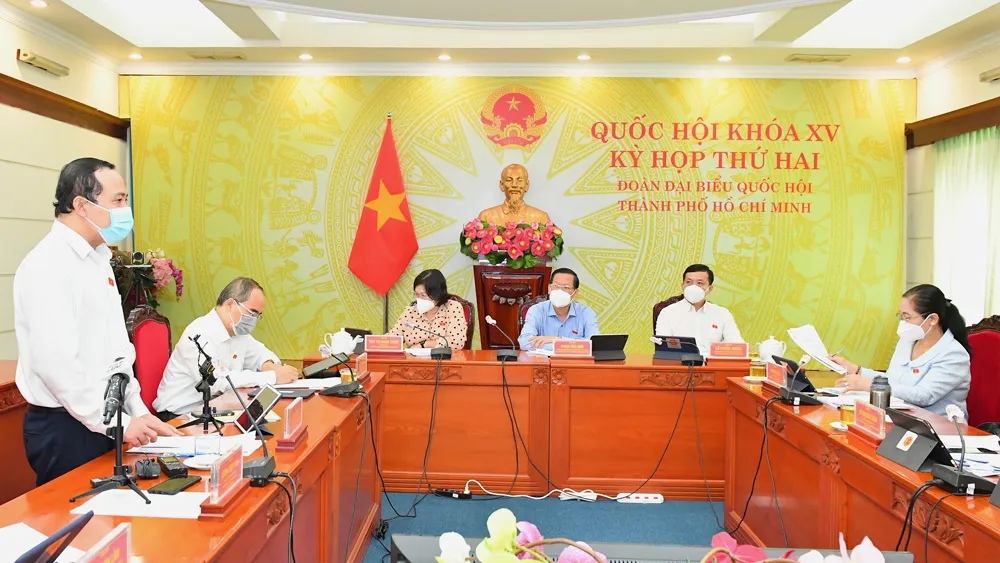 Cần ban hành Luật Sở hữu trí tuệ mới thay cho sửa đổi, bổ sung ảnh 2