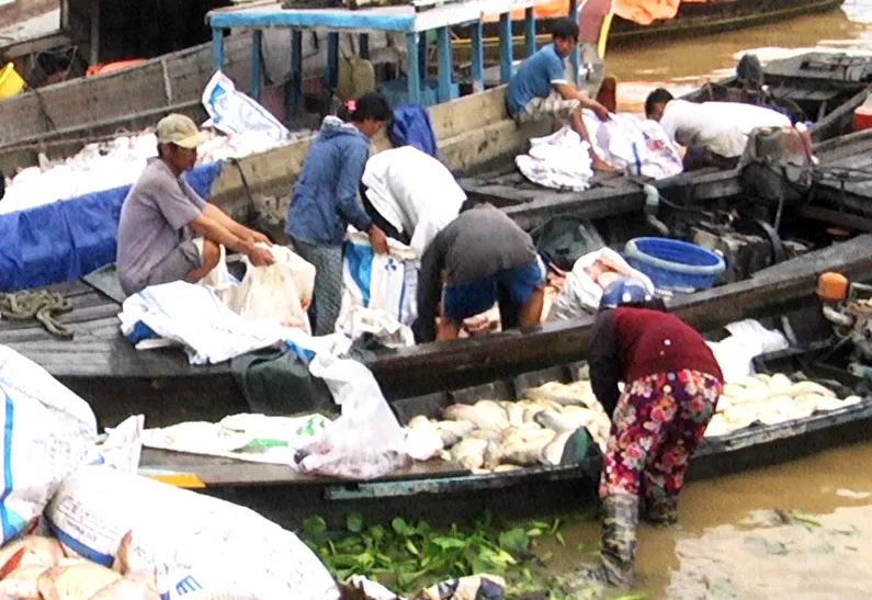 Hàng trăm tấn cá bè trên sông La Ngà chết không rõ nguyên nhân ảnh 3