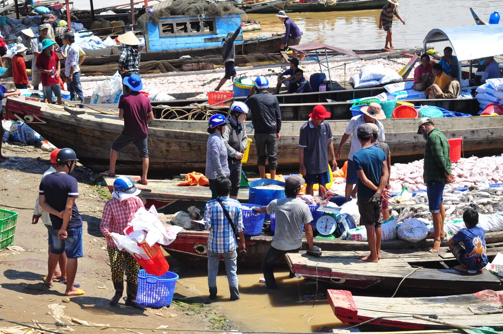 Đã có hơn 1.500 tấn cá bè trên sông La Ngà bị chết ảnh 6
