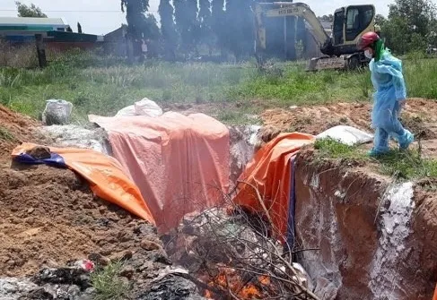 Một hộ dân trữ hơn 4 tấn thịt dương tính với dịch tả heo Châu Phi trong kho lạnh ảnh 1