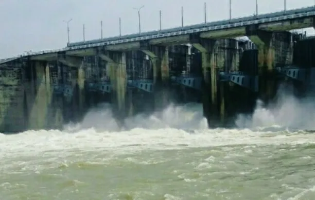 Dân Đồng Nai khổ sở vì lũ ảnh 2