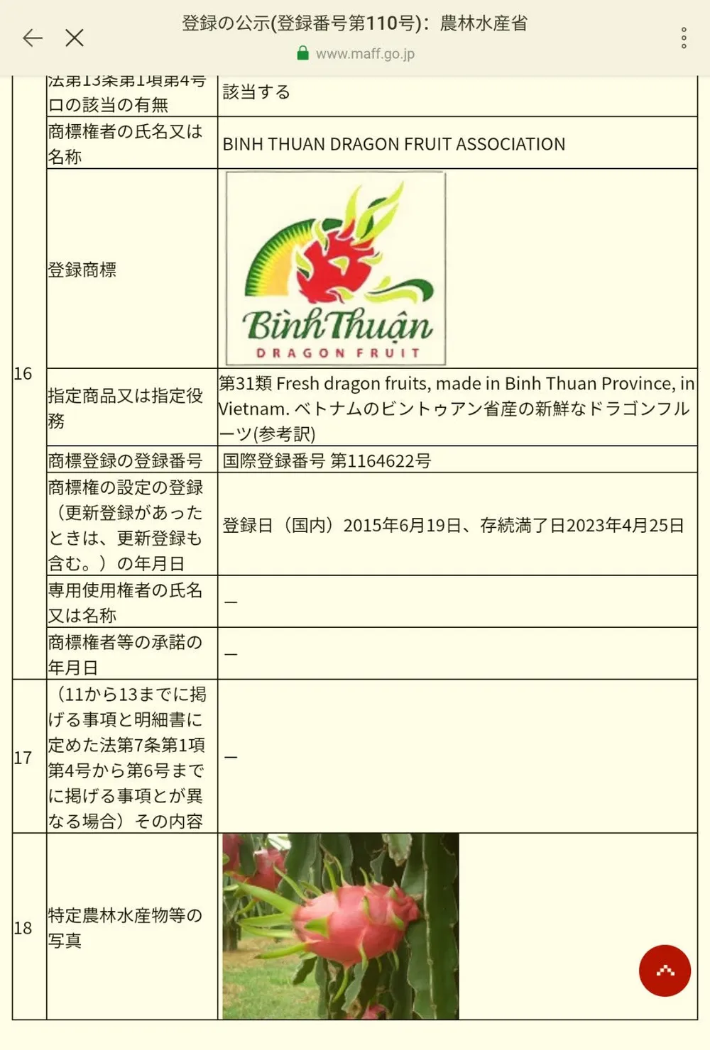 Thanh long Bình Thuận chính thức được bảo hộ chỉ dẫn địa lý tại Nhật Bản ảnh 1