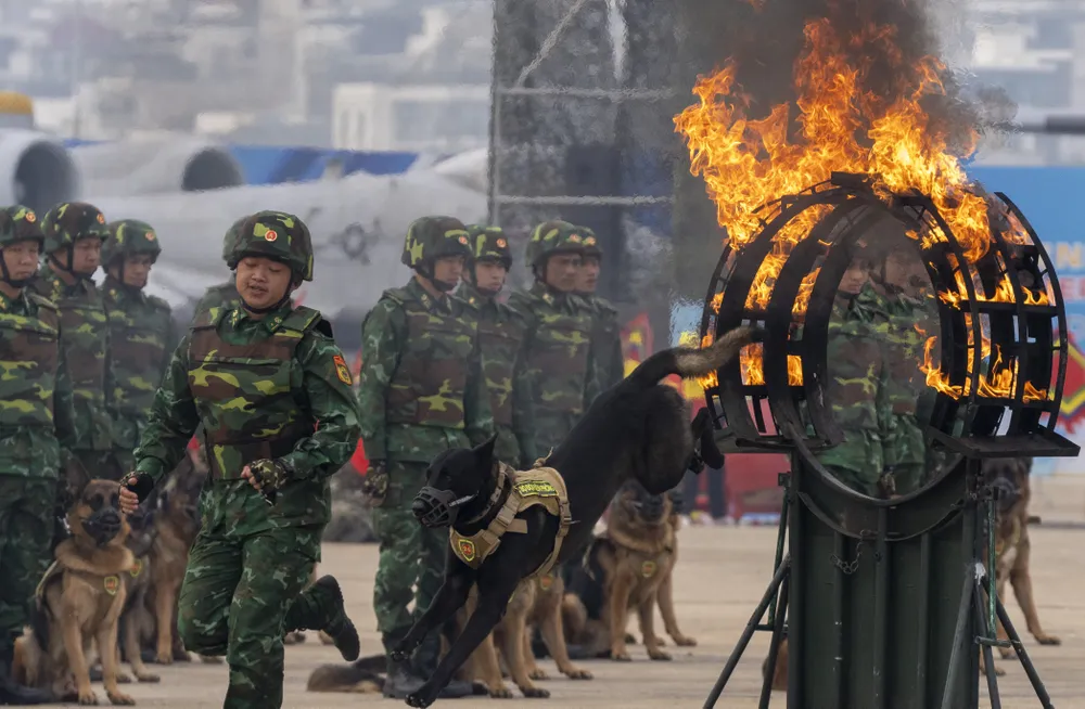 Tong duyet Trien lam QPVN  20.JPG