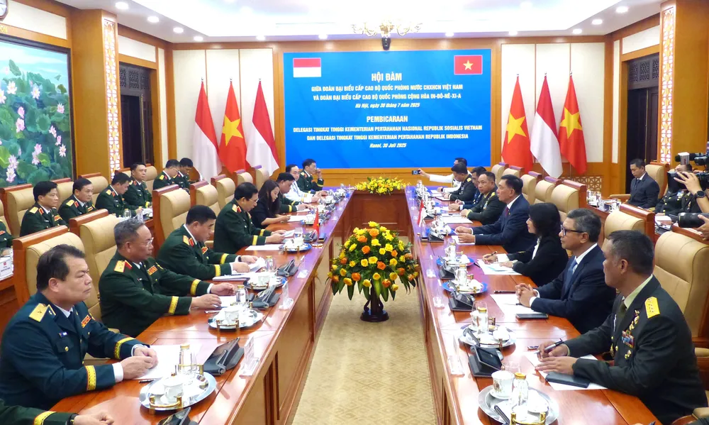 Bo truong QP Indonesia tham VN 11.JPG