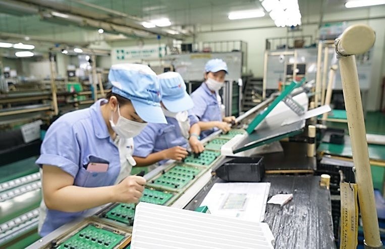 民营经济——推动经济增长与创新的主力军。