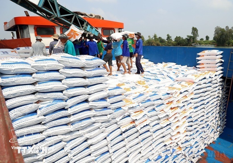 越南大米价格回落 出口增额不增值 