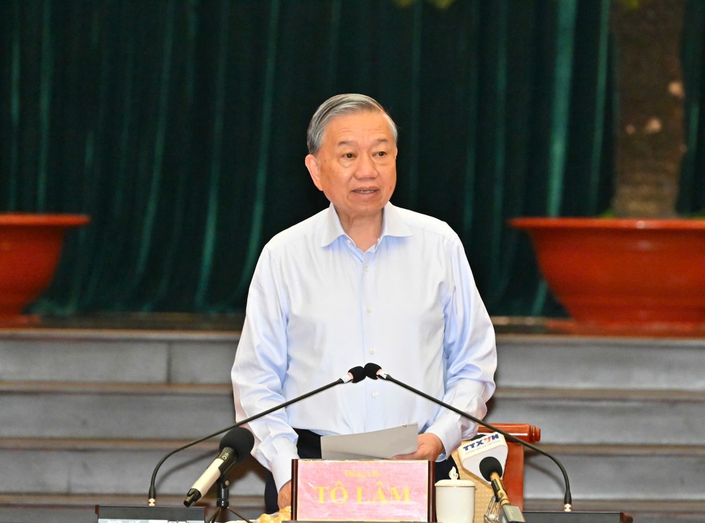 党中央总书记、国家主席苏林主持与胡志明市市委常务处的工作会议。