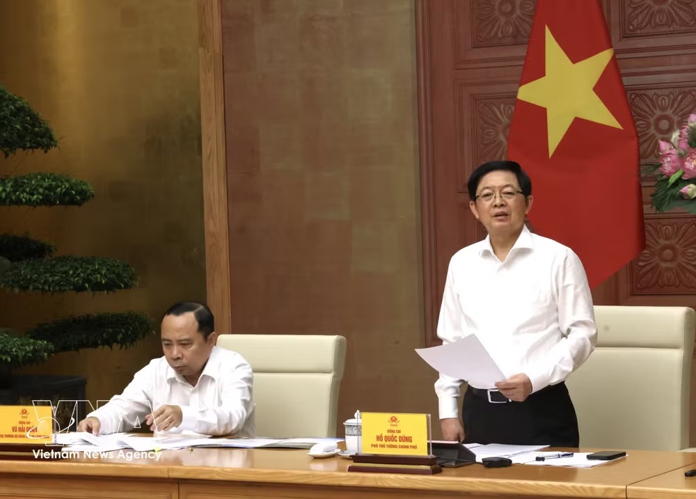 越南政府副总理胡国勇发表讲话。