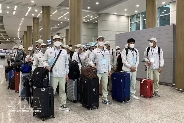 前5个月逾5万3159名越南劳动者赴海外就业