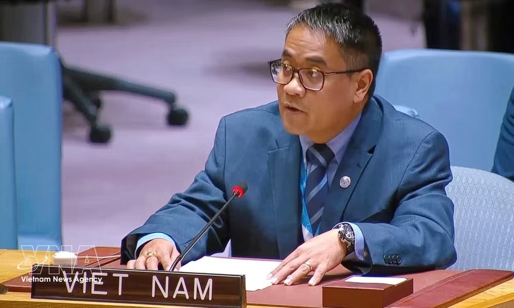越南常驻联合国代表团副团长阮海流公使。图自越通社