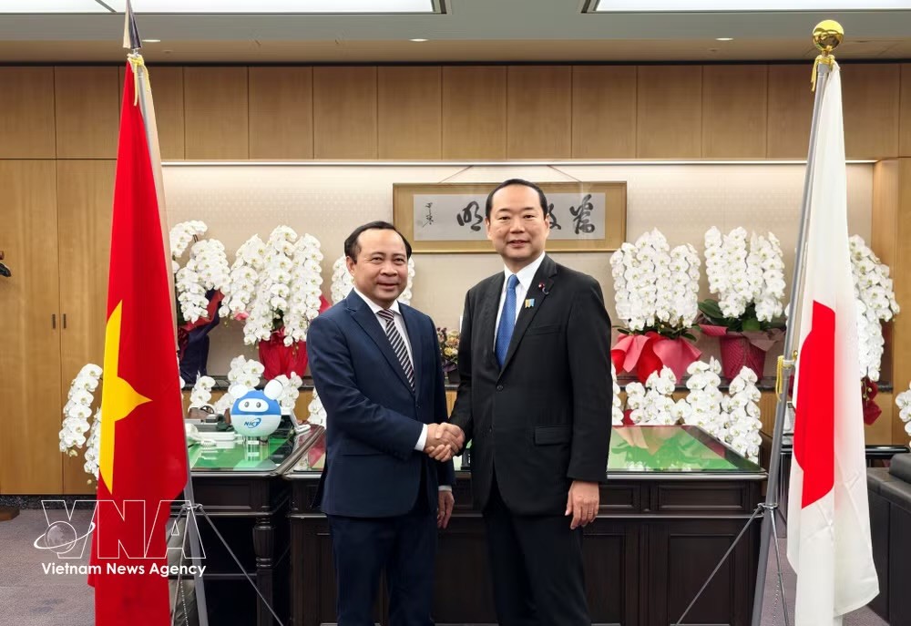 越南政府副总理兼科技部部长武海军（左）与日本总务大臣藤井久之共同出席会晤。图：越通社