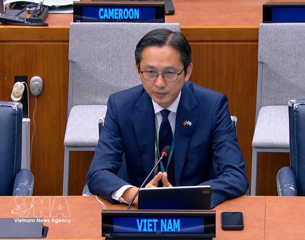 越南常驻联合国代表团团长杜雄越大使在会上发言。图自越通社