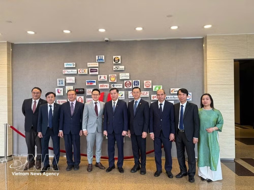 由越南党中央委员、中央机关党委常务副书记阮龙海率领的中央机关党委代表团与新加坡人民行动党（PAP）中央委员、国防部政务部长朱倍庆和新加坡国会议员李宏壮。图自越通社