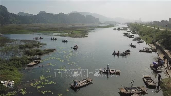 宁平省云龙湿地自然保护区。垂蓉/越通社
