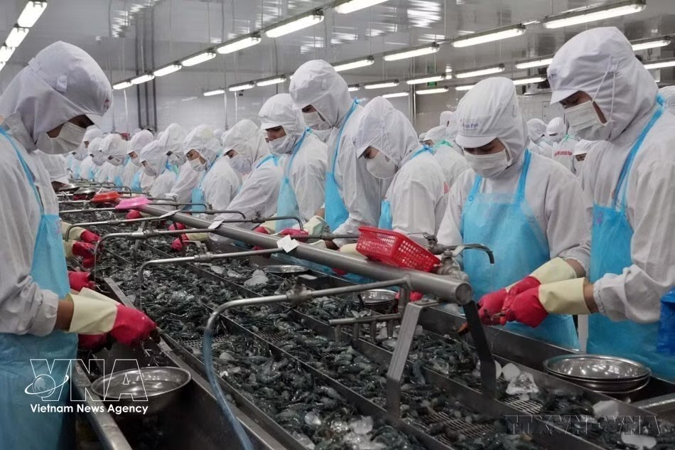 水产业是VEFTA生效后受益明显的行业之一。图自越通社