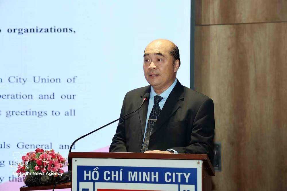 胡志明市各友好组织联合会副主席胡春霖在研讨会上发言。图自越通社